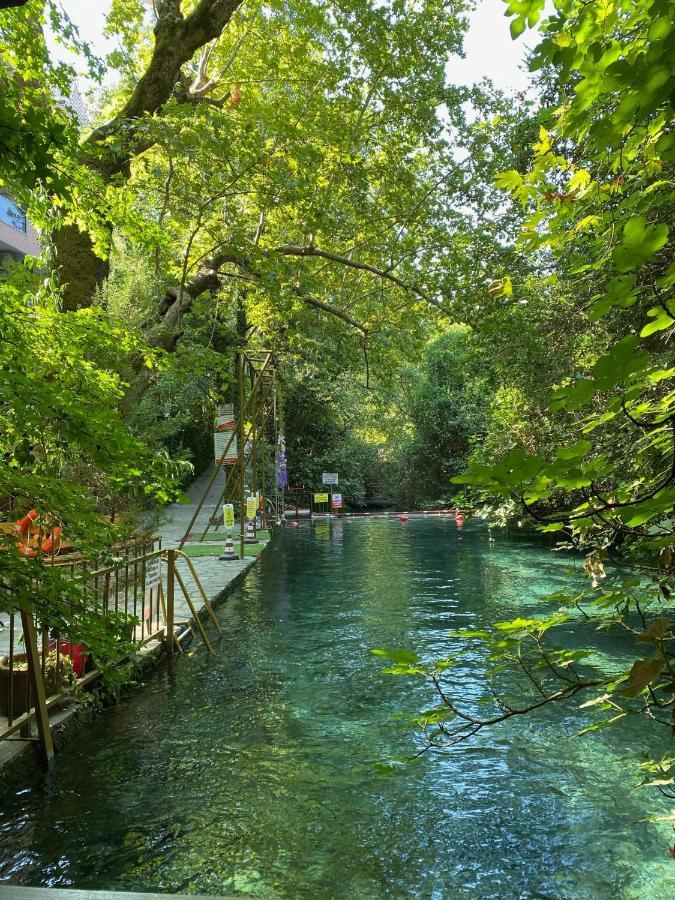 Yuvarlakcay Cinar Butik Otel Koycegiz Exteriér fotografie